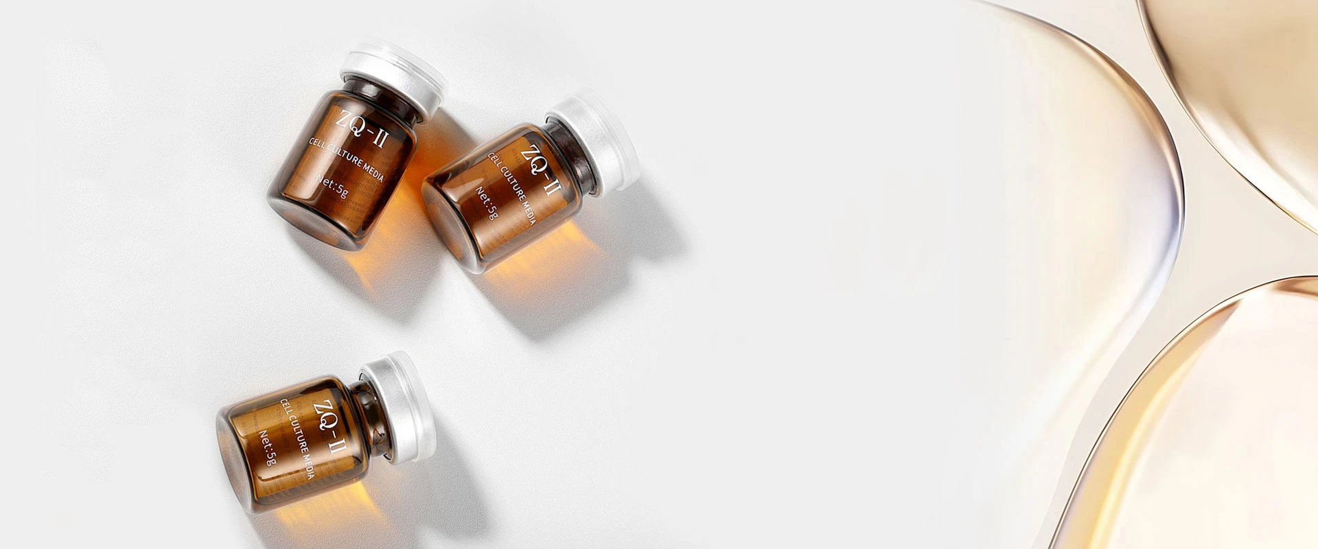 Zelulen Kultura Media Factory